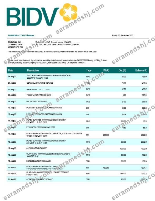 Bank for Investment and Development of Vietnam (BIDV) business statement Word and PDF template